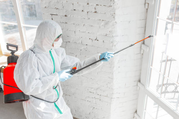 Mold Remediation for Vacation Homes in Keene, NH